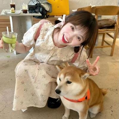 青春芒果夜2018封面